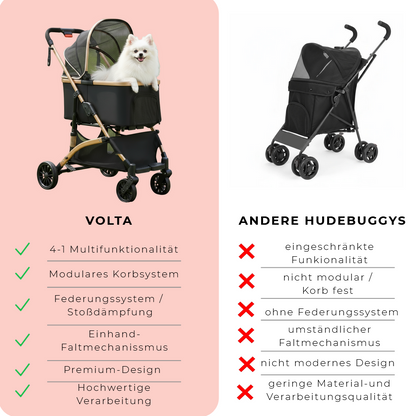 Volta - Damit deine liebsten Vierbeiner genau das gleiche spüren